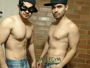 2MALEGYM