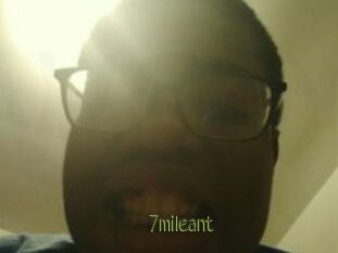 7mileant