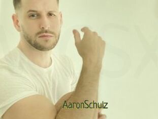 AaronSchulz