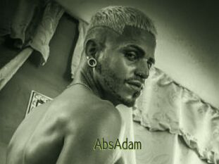 AbsAdam