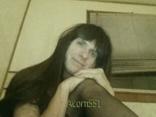 Acorn551