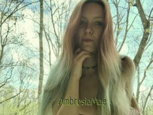 AmbrosiaMae