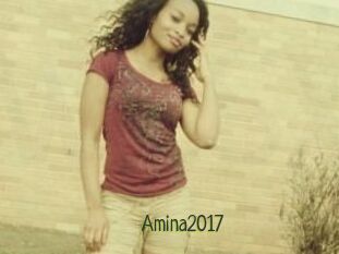 Amina2017