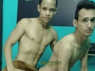 Anegeljan