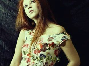 AngryBunny