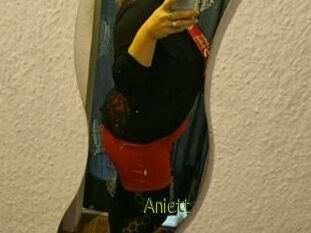 Aniett