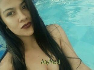AnyMeel