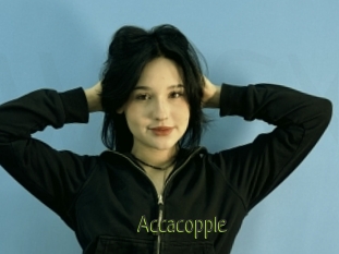 Accacopple