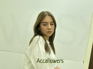 Accaflowers