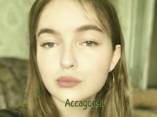 Accagodsil