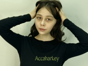Accaharkey