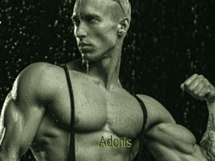 Adonis_