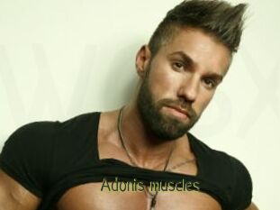 Adonis_muscles