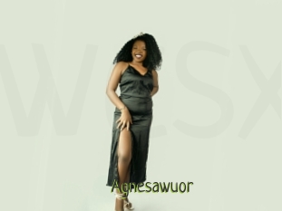 Agnesawuor