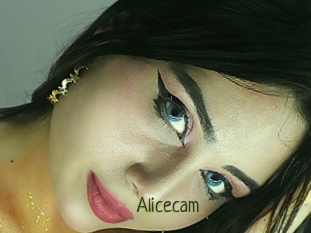 Alicecam