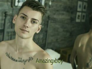 Amazingxboy