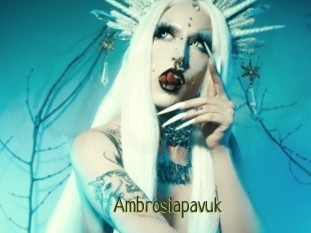 Ambrosiapavuk