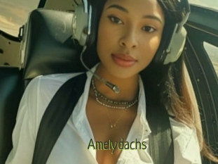 Amelydachs