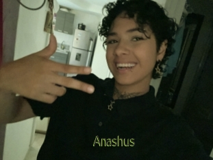 Anashus
