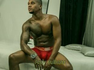 Andy_sullivann