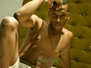 Andybony