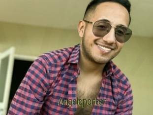 Angeloporter