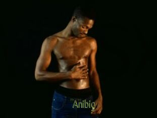 Anibig