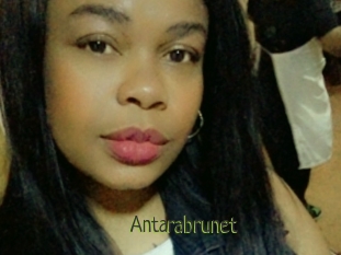 Antarabrunet