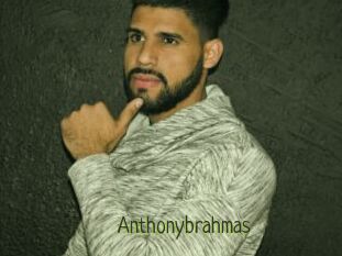 Anthonybrahmas