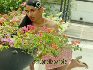 Antonellabarbie