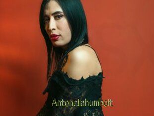 Antonellahumbolt