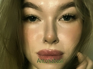 Antoniabasil
