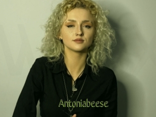 Antoniabeese