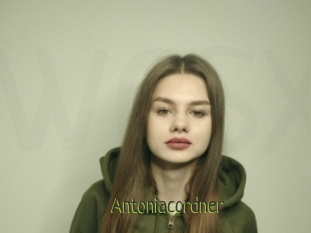 Antoniacordner
