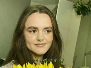 Antoniadudley