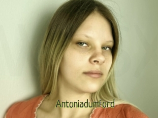 Antoniadumford