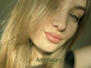 Antoniagary
