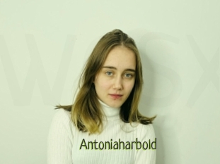 Antoniaharbold