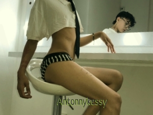 Antonnykessy