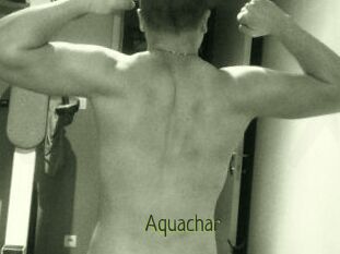 Aquachar