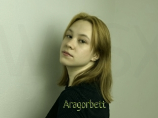 Aragorbett
