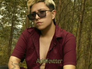 Arielfoxtter