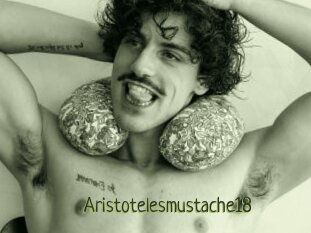 Aristotelesmustache18