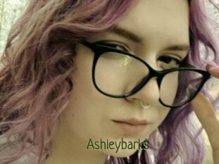Ashleybarks