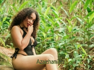 Azalehamiller