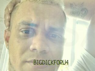 BIGDICKFORU4