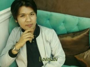 BavinGav