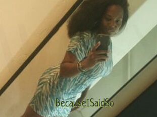 BecauseISaidSo