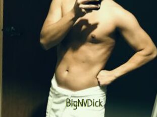 BigNVDick