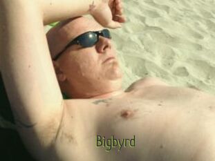 Bigbyrd